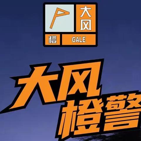 闻风而动 春风送暖 小营联合社区积极应对大风天气在行动