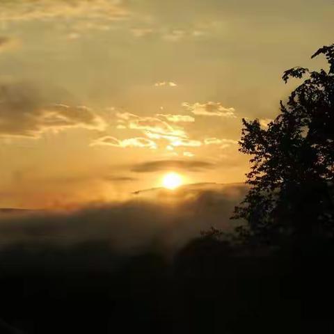 红色研学之旅——广安行