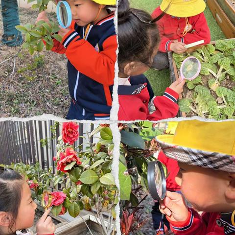 寻春赏春晒暖阳 我与花花共成长——怀远县第三幼儿园教育集团开展春天主题活动