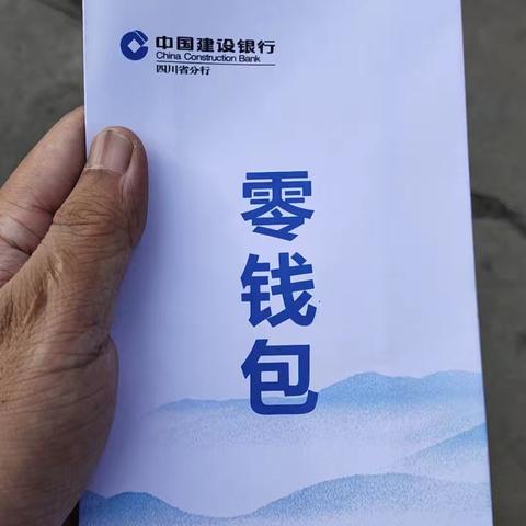 建行攀枝花金江支行零钱包业务推广工作总结