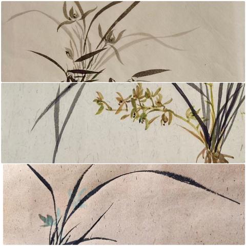 全年七期 兰花阶段