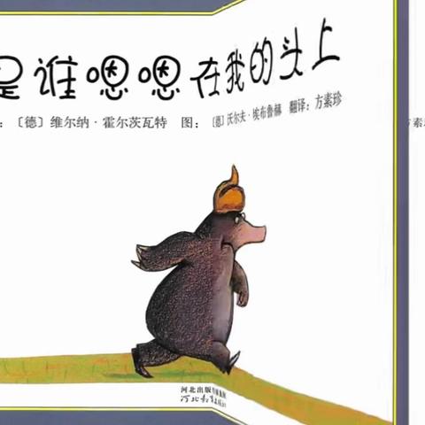 宝宝班的美好时光分享💕