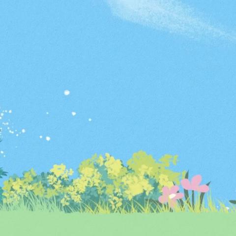 宝宝班的美好时光分享🌟