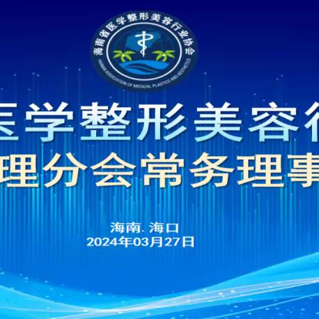 海南省医学整形美容行业协会 2024年召开护理分会常务理事会议