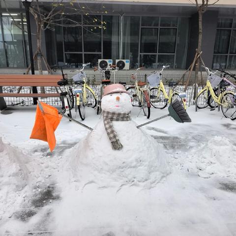 银装素裹校园净，除雪护航暖意浓！