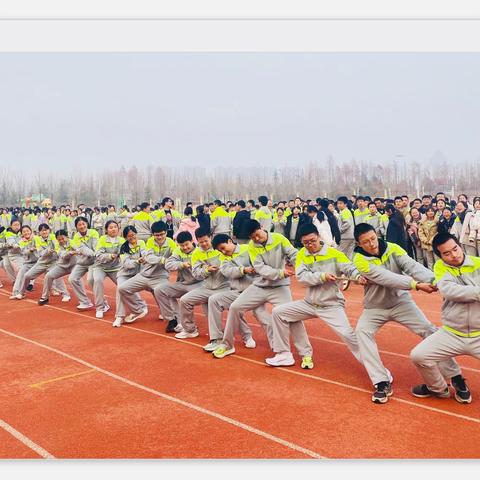 凝心聚力，“绳”采飞扬|沂水县第四实验中学庆元旦迎期末拔河比赛