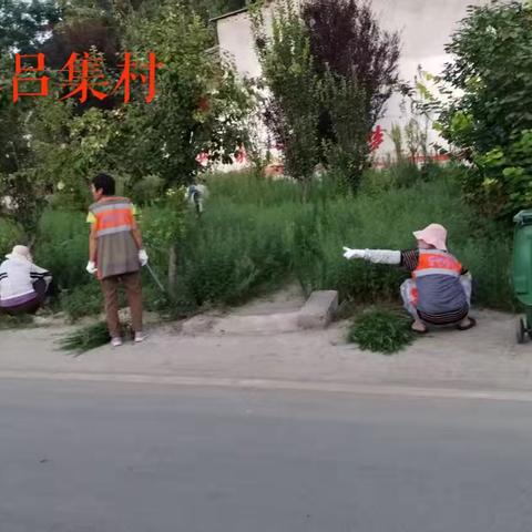 杜曲镇：以党建引领基层高效能治理促人居环境整治提质增效