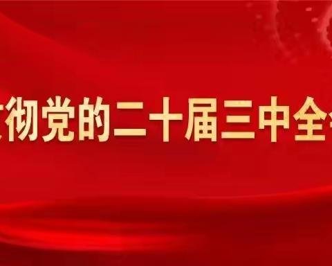 南干总站党支部《学习贯彻党的二十届三中全会精神——党员谈》专栏