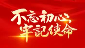 强化党建引领，促进乡村振兴 曲堤街道前宋村第一书记工作纪实