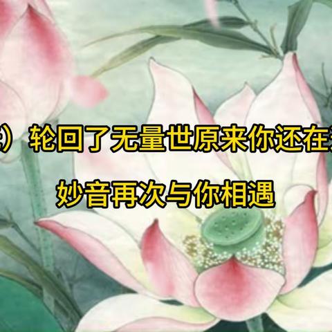 轮回了无量世原来你还在这里