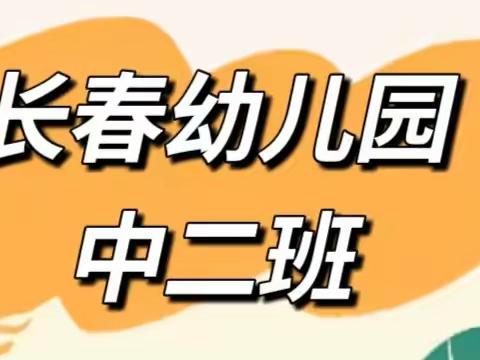 长春幼儿园中二班2月精彩回顾