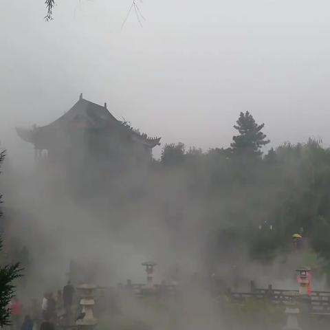 天仙子  雨中漫步