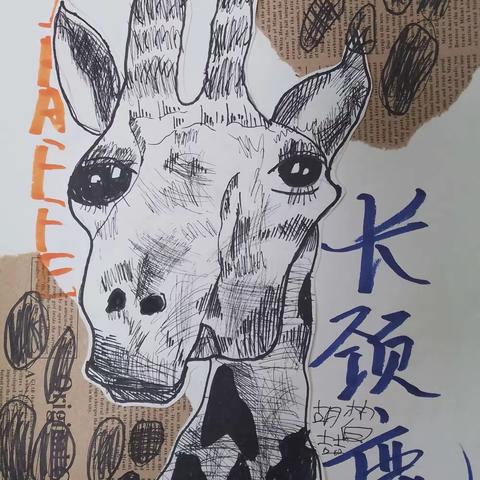 红旗校区—吴道子线描初级班—胡皙喆