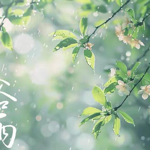 邂逅谷雨，探秘自然——彩虹雨与种大豆的奇妙之旅-白鹅慧育希望儿童早期发展活动中心