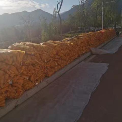 助农帮销 ——王曲社在行动