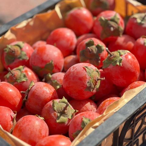 实验幼儿园幼儿膳食预告 ‍2025.11.24-11.28