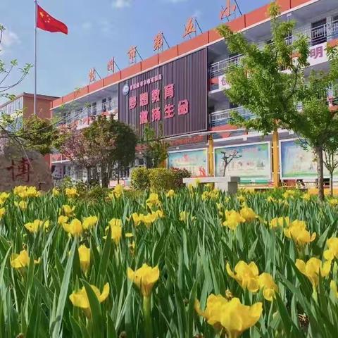 行而不辍   未来可期——林州市第五小学四（4）班班级活动