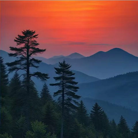 “学而乐”创意美术----落日黄昏中的树林