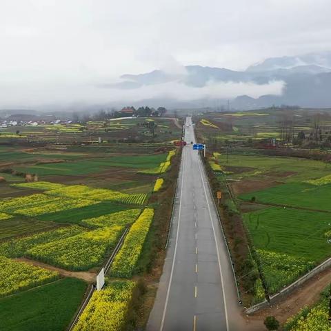 汉中油菜花节航拍印象