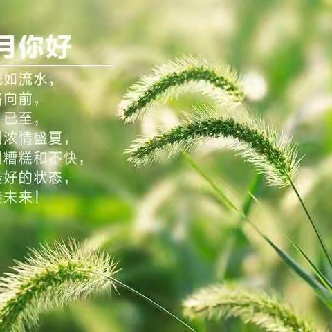 兰亭熙园 ﻿八月份工作简报