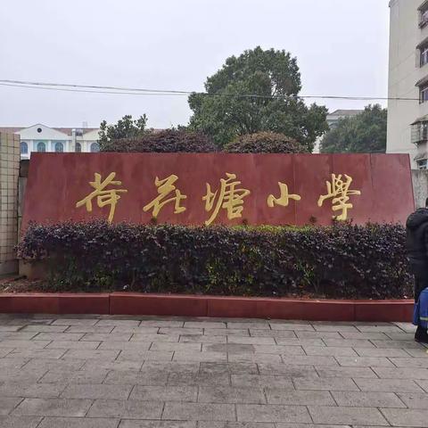 妙笔生花书精彩—荷花塘小学硬笔书法社团总结