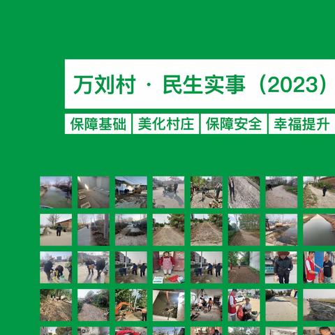 万刘村2023年民生实事