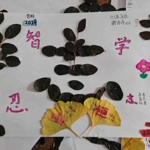 树叶字画迎新年    素质教育展新招