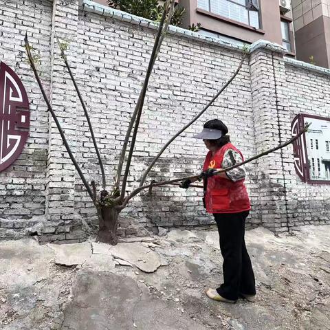 激活基层“高效能”，做实民生“大文章”