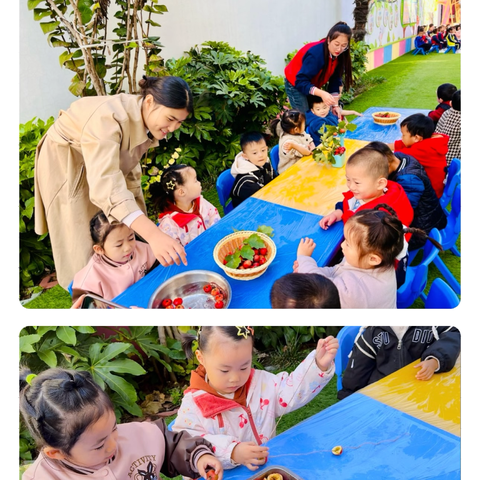 遇见山楂——蓝天幼儿园