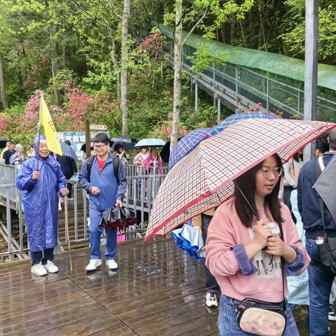 春日有约   共赴芳华