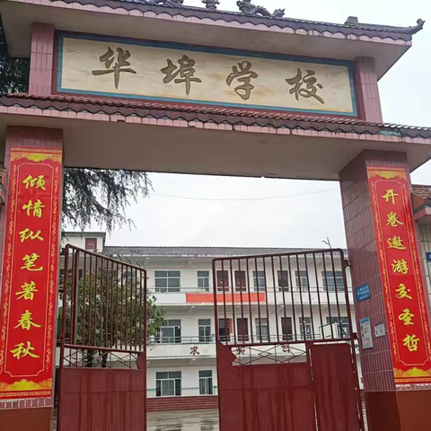 乡贤聚力助教育，华埠小学旧貌换新颜