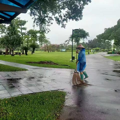 万绿园持续做好基孔肯雅热疫情防控工作