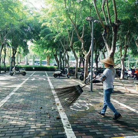 万绿园持续做好基孔肯雅热疫情防控工作