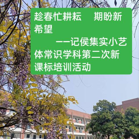 心怀梦想       奋勇前行          ——记侯集实小艺体常识学科第二次新课标培训活动