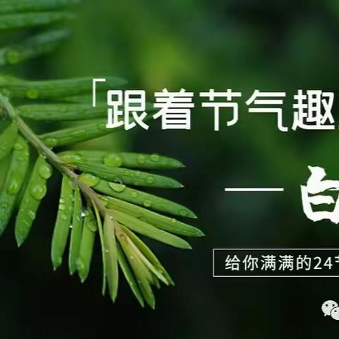 二十四节气之白露活动回顾