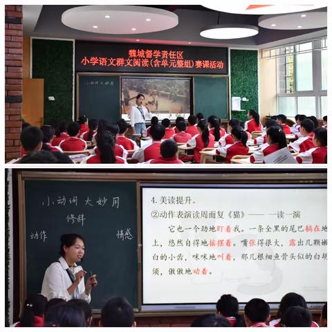 魏城督学责任区小学语文群文阅读（含单元整组）赛课活动