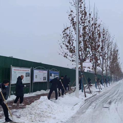 风雪逆行  除雪保畅  住建人在行动