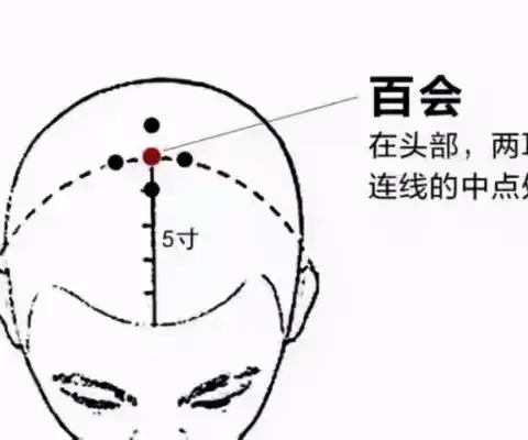 淅川张仲景国医馆：传统中医经息活络，现代养生至尊享受
