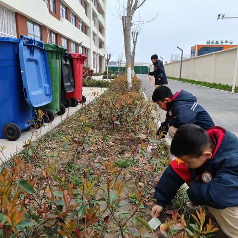 【新丰劳育】一起春天吧——新乡市卫滨区新丰小学遇见劳育之美系列活动（一）