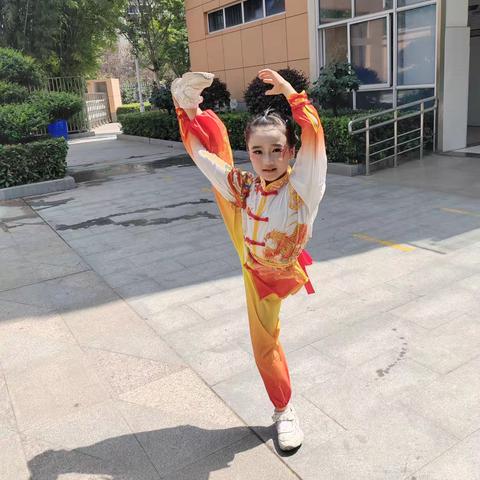 三年级十一班校园生活的活力画卷