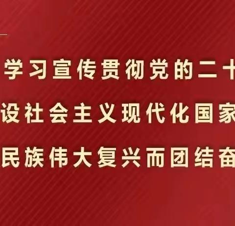 花所镇“三抓三促”行动工作日报（2月29日）