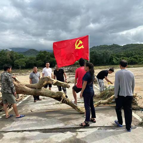 同舟共济守家园，党旗引领普新篇——番阳镇灾后重建纪实