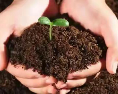 沃叶微生物菌剂改善土壤—助力农业生产