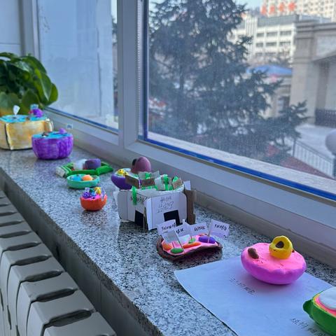 异彩纷呈，“胞”罗万象——动植物细胞手作模型展