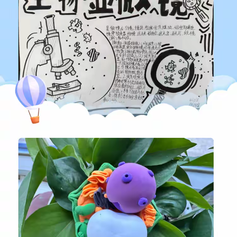 栩栩如生，物尽其用——七年级生物学科特色作业展