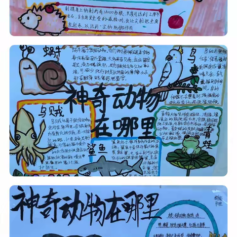 神奇动物在哪里——八年级生物学科动物介绍展