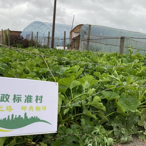 安达市分公司乡村振兴工作汇报