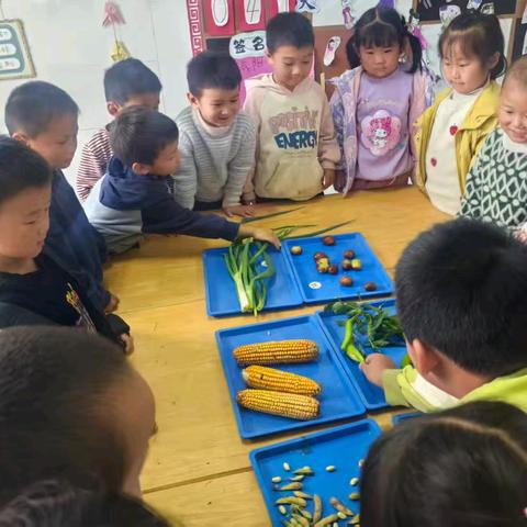 2026年春季 梁堂镇菜庄幼儿园 招生开始啦