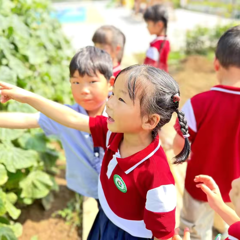 洛宁县兴华镇中心幼儿园        用心教育 用爱养育