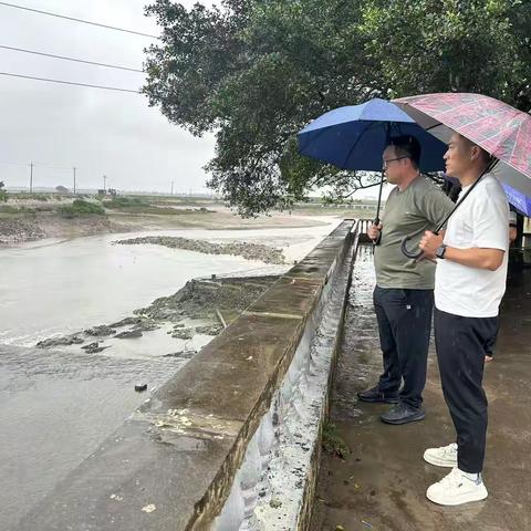 防字当头，城头镇筑牢汛期安全防线
